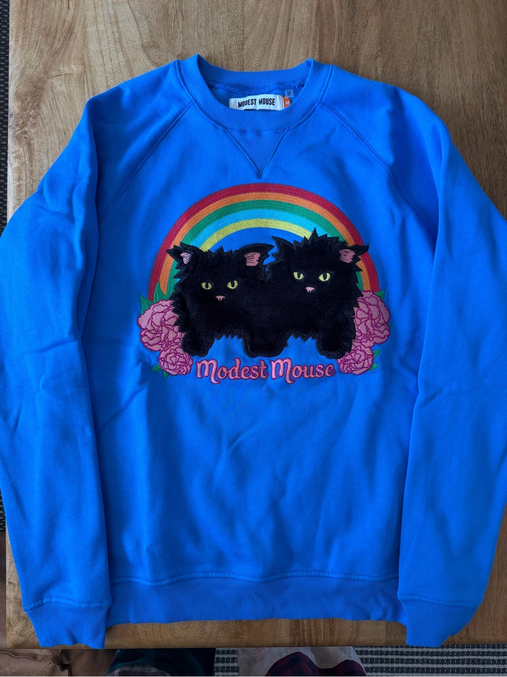 Modest Mouse Blue Cat Rainbow Sweatshirt